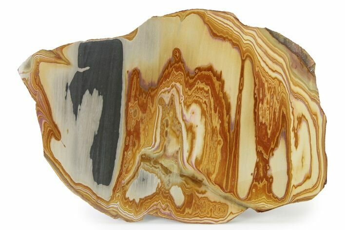 Polished Hickory Jasper Slab #322720